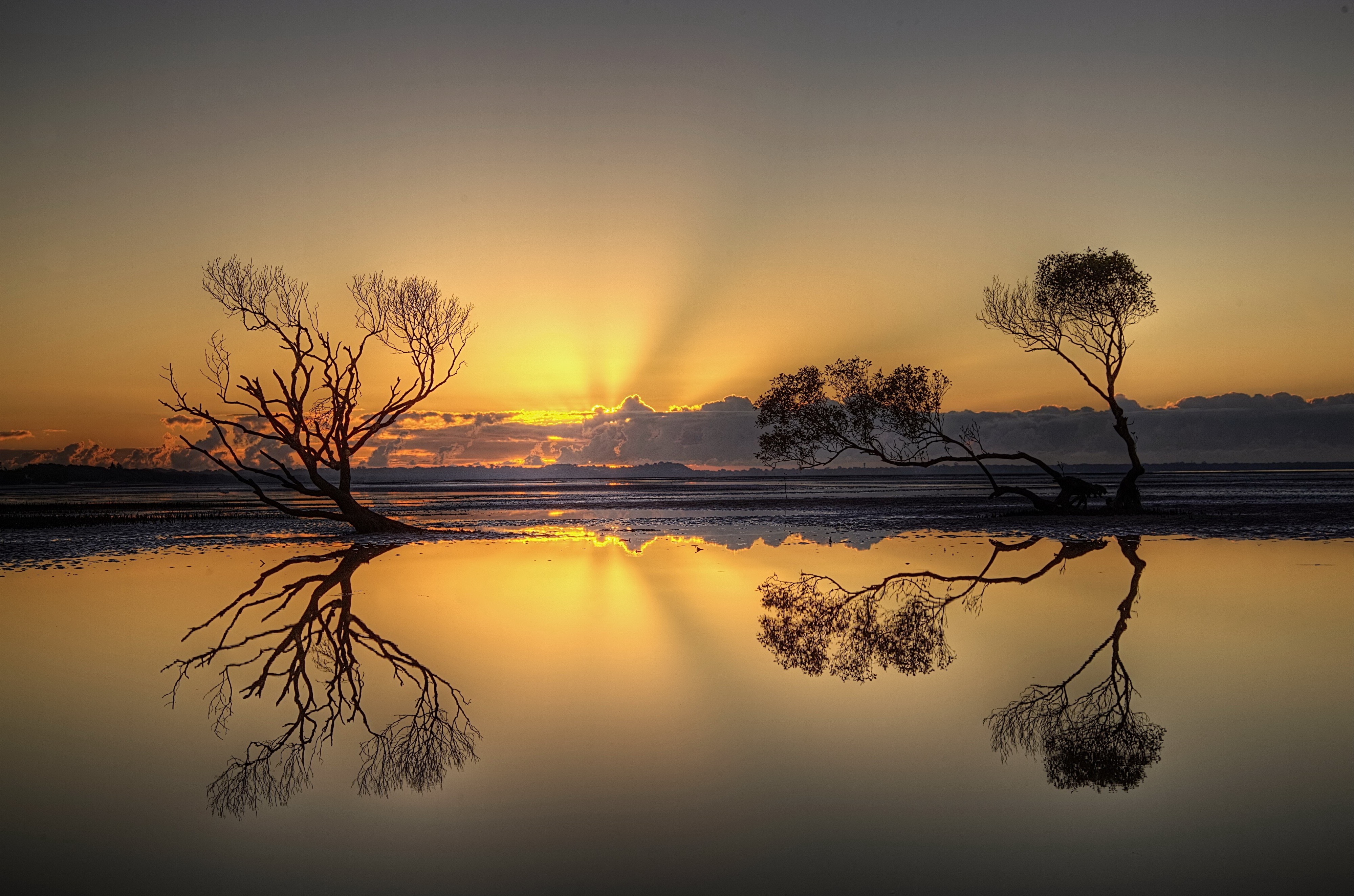 世界拳击退役运动员就业扶持平台功能扩展,拳击运动员退役后有无后遗症